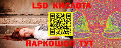 spice Ярославль